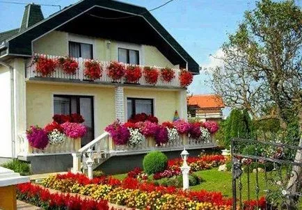 Озеленяване с ръцете си, парцел 127 снимки (с ръце) Озеленяване с ръцете си, парцел 127 снимка