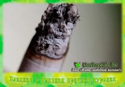Пушенето и неговото въздействие върху човешкото здраве и краткото ясно