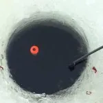 Улавянето морски костур наваксване на тази техника захапка, стръв и риболов бас