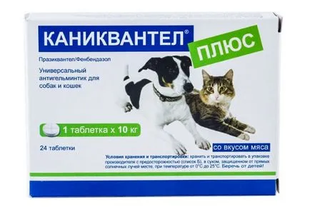 Най-доброто средство за червеи за кучета (червеи) Най-доброто средство за червеи за кучета