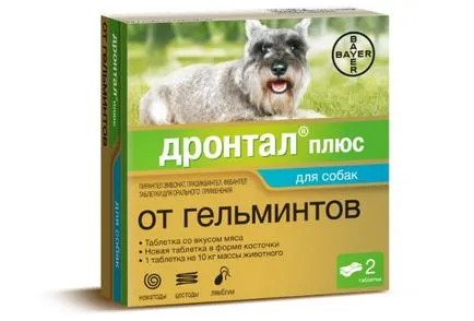 Най-доброто средство за червеи за кучета (кучета) Най-доброто средство за червеи за кучета
