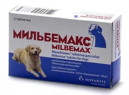 Най-доброто средство за червеи за кучета (червеи) Най-доброто средство за червеи за кучета