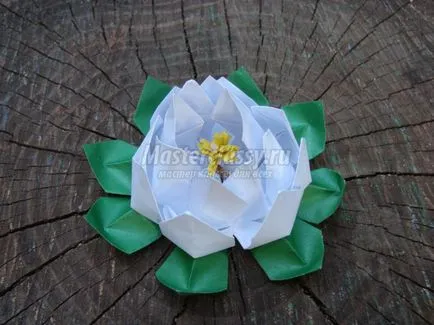 Lotus хартия оригами изкуство