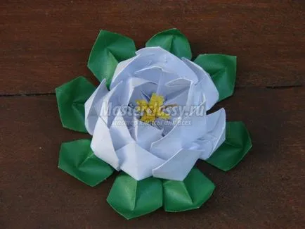 Lotus хартия оригами изкуство