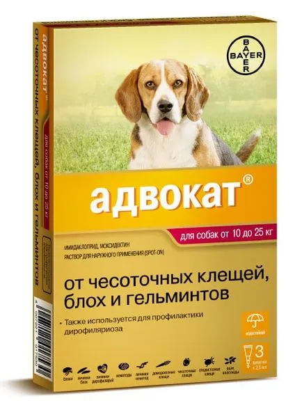 Най-доброто средство за червеи за кучета (червеи) Най-доброто средство за червеи за кучета