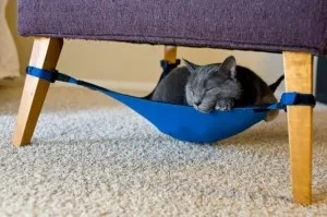 Мебели за котки