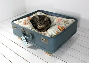 Мебели за котки