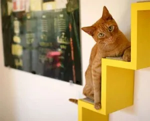 Мебели за котки