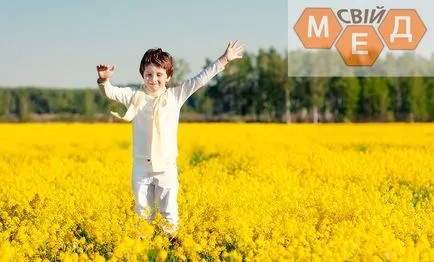 Med рапица полезни свойства, състав (рапица) Мед рапица полезни свойства, състав,