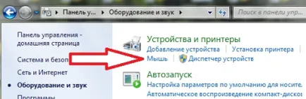 На лаптопа не работи тъчпад (докосване на мишката) - причини и какво да правя