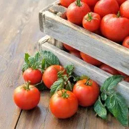 Мога ли да кърмите пиле, как да изберем полезен продукт (хранене) Мога ли да кърмите пиле, как да изберем полезен продукт