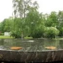 Новгород област 1