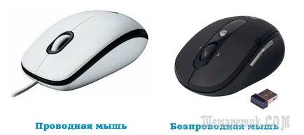 Мишка не работи на лаптоп, който да направи преглед на основните причини за аварии (лаптоп) Мишка не работи на лаптоп, който да направи преглед на основните причини за аварии