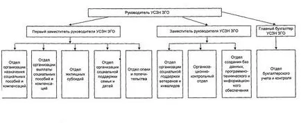 Обща информация за дейността на uszn (активност) Обща информация за дейността на uszn