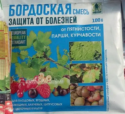 Бордо течност обработка - Получаване на 3% разтвор, 1% разтвор на