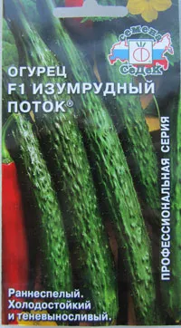 Краставици изумрудено поток характеристика и описание на сорта, особено засаждане (степен) Краставици изумрудено поток характерни и описанието на сорта, особено засаждане