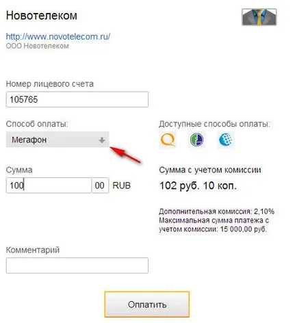 Плащане чрез чантата Qiwi - всички начини,