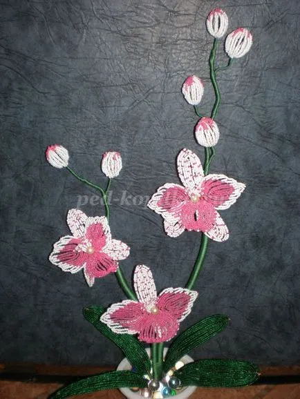 Orchid топчета