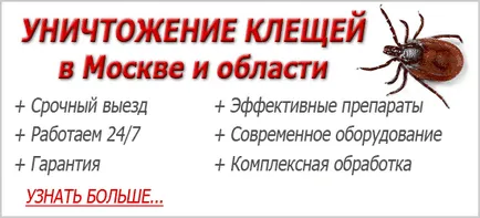 Акар на розата на собствените си методи на борба