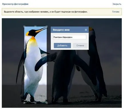 На изображенията, VKontakte