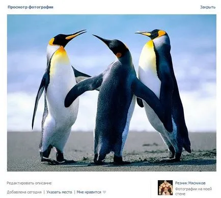 На изображенията, VKontakte