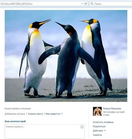 На изображенията, VKontakte