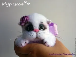 Защо котките са между краката й, помощник на котката
