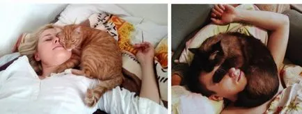 Защо котките спят в краката, което означава, че, защо котките обичат да си лягат в краката на капитана (фута) Защо котките спят в краката, което означава, че, защо котките обичат да отидете на легло в основната част на крака
