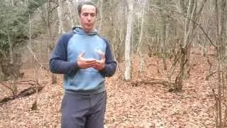 Повърхностно стомашно симптоми, лечение, причини