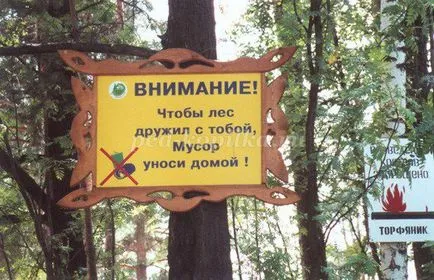 Правила за поведение в гората за деца в стих