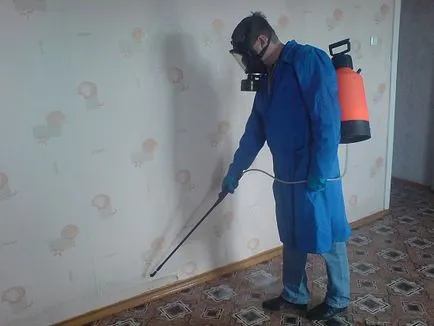 дървеници