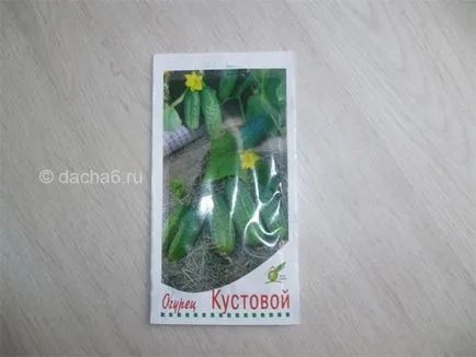 Краставица 