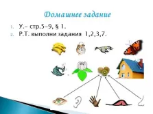 Информатика Представяне - хора и информация