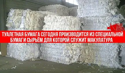 Производство на тоалетна хартия, направена от рециклирана хартия като бизнес