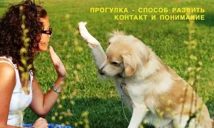 Разходка с куче