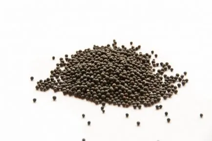 Фиданки от зеле отглеждане в дома