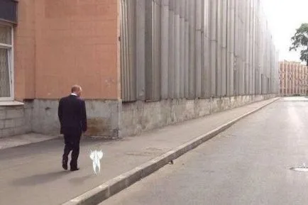 котка Путин на черна дъска