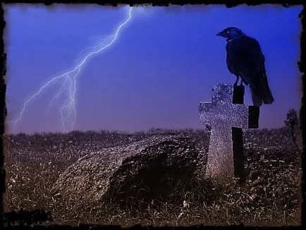 Bird черен гарван
