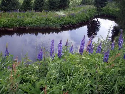 област Pond