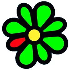 Разберете! Как да създадете ЕИН ICQ за използване на ЕГН -Създаване на софтуер за онлайн ICQ