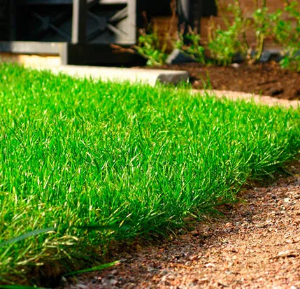 Turf от производителя