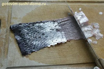 ролки паламуд