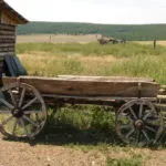 Sleigh и вагон кон преглед на видовете дизайн, инструкции как да се извлече полза на кон