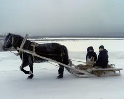 Sleigh за кон