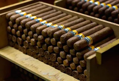 Пура COHIBA (куб)