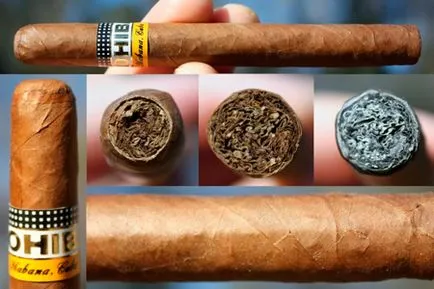 Пура COHIBA (куб)
