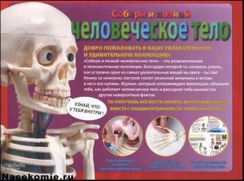 Skeleton Артьом изкарва средношколци