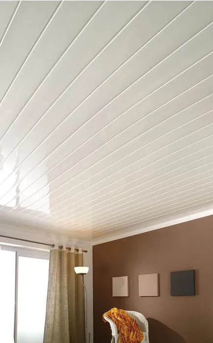 Панели за таванен монтаж с ръцете си (23 снимки) - Дом и Градина