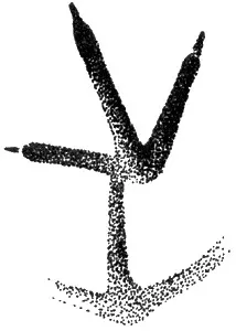 песни за животни 1