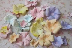 Scrapbooking за начинаещи карти с ръцете си (им) Scrapbooking за начинаещи пощенски картички със собствените си ръце